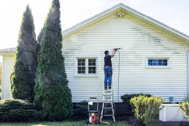 Best Roof Washing  in Lincoln, ND